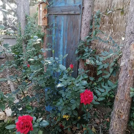 Σπίτι διακοπών L'embellie Un Confort Et Cocooning